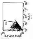 Fig. 07 - PERICYTE PROGENITOR CELLS AND METHODS OF GENERATING AND USING SAME