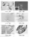 Fig. 10 - PERICYTE PROGENITOR CELLS AND METHODS OF GENERATING AND USING SAME