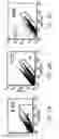 Fig. 16 - PERICYTE PROGENITOR CELLS AND METHODS OF GENERATING AND USING SAME