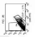 Fig. 19 - PERICYTE PROGENITOR CELLS AND METHODS OF GENERATING AND USING SAME