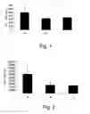 Fig. 02 - COMBINATION OF VITAMIN E AND BETA-GLYCOSPHINGOLIPIDS IN COMPOSITIONS AND METHODS FOR PREVENTING AND TREATING HEPATIC DISORDERS