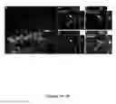 Fig. 04 - Method to isolate, identify, and use embryonic stem cells directed to forebrain interneuron fate