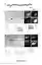 Fig. 07 - Method to isolate, identify, and use embryonic stem cells directed to forebrain interneuron fate