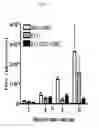Fig. 27 - Method and compositions using a chimeric antigen receptor for enhanced anti-tumor effector functioning of T cells