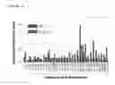 Fig. 06 - COMPOSITIONS AND METHOD FOR DEIMMUNIZATION OF PROTEINS