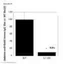 Fig. 07 - COMPOSITIONS AND METHOD FOR DEIMMUNIZATION OF PROTEINS
