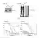 Fig. 06 - INCREASING LIFESPAN BY MODULATION OF WWP-1 AND UBC-18
