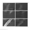 Fig. 08 - INCREASING LIFESPAN BY MODULATION OF WWP-1 AND UBC-18