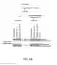Fig. 09 - PRODUCT AND METHOD FOR TREATMENT OF CONDITIONS ASSOCIATED WITH RECEPTOR-DESENSITIZATION