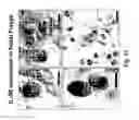 Fig. 15 - Methods of reducing eosinophil levels