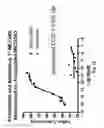 Fig. 27 - Methods of reducing eosinophil levels