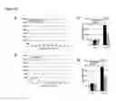 Fig. 12 - VEGF-SPECIFIC ANTAGONISTS FOR ADJUVANT AND NEOADJUVANT THERAPY AND THE THREATMENT OF EARLY STAGE TUMORS