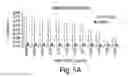 Fig. 07 - Neutralizing antibodies and methods of use thereof