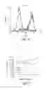 Fig. 19 - Neutralizing antibodies and methods of use thereof