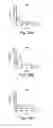 Fig. 28 - Neutralizing antibodies and methods of use thereof