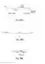 Fig. 33 - Neutralizing antibodies and methods of use thereof