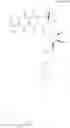 Fig. 22 - GABA-LINKED ANTHRACYCLINE-LIPID CONJUGATES