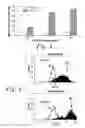 Fig. 04 - Monoclonal antibodies to dendritic cells