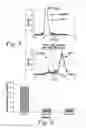 Fig. 05 - Monoclonal antibodies to dendritic cells