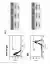 Fig. 02 - Methods for treating a tumor using an antibody that specifically binds GRP94