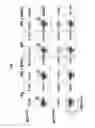 Fig. 08 - Methods for treating a tumor using an antibody that specifically binds GRP94