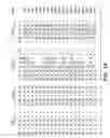 Fig. 06 - BACE1 antibodies