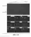 Fig. 19 - BACE1 antibodies