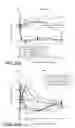 Fig. 30 - BACE1 antibodies