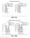 Fig. 32 - BACE1 antibodies