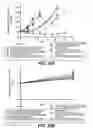 Fig. 33 - Anti-CD79B antibodies and immunoconjugates and methods of use