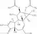 Fig. 53 - TRP INHIBITORS AND USES THEREOF