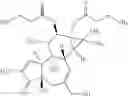 Fig. 54 - TRP INHIBITORS AND USES THEREOF
