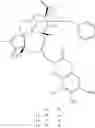 Fig. 61 - TRP INHIBITORS AND USES THEREOF