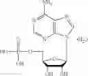 Fig. 74 - TRP INHIBITORS AND USES THEREOF