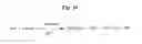Fig. 26 - MONOMETHYLVALINE COMPOUNDS CAPABLE OF CONJUGATION TO LIGANDS