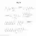 Fig. 28 - MONOMETHYLVALINE COMPOUNDS CAPABLE OF CONJUGATION TO LIGANDS