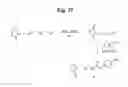 Fig. 31 - MONOMETHYLVALINE COMPOUNDS CAPABLE OF CONJUGATION TO LIGANDS