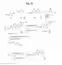 Fig. 34 - MONOMETHYLVALINE COMPOUNDS CAPABLE OF CONJUGATION TO LIGANDS