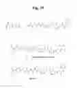 Fig. 41 - MONOMETHYLVALINE COMPOUNDS CAPABLE OF CONJUGATION TO LIGANDS