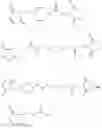 Fig. 46 - MONOMETHYLVALINE COMPOUNDS CAPABLE OF CONJUGATION TO LIGANDS