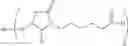 Fig. 69 - MONOMETHYLVALINE COMPOUNDS CAPABLE OF CONJUGATION TO LIGANDS
