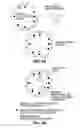 Fig. 05 - INTRACORONARY DEVICE AND METHOD OF USE THEREOF