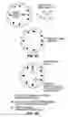 Fig. 06 - INTRACORONARY DEVICE AND METHOD OF USE THEREOF