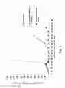Fig. 02 - MONOMETHYLVALINE COMPOUNDS CAPABLE OF CONJUGATION TO LIGANDS