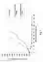 Fig. 03 - MONOMETHYLVALINE COMPOUNDS CAPABLE OF CONJUGATION TO LIGANDS