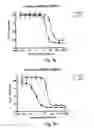 Fig. 07 - MONOMETHYLVALINE COMPOUNDS CAPABLE OF CONJUGATION TO LIGANDS