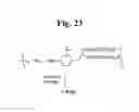 Fig. 25 - MONOMETHYLVALINE COMPOUNDS CAPABLE OF CONJUGATION TO LIGANDS