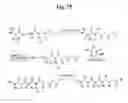 Fig. 27 - MONOMETHYLVALINE COMPOUNDS CAPABLE OF CONJUGATION TO LIGANDS