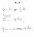 Fig. 30 - MONOMETHYLVALINE COMPOUNDS CAPABLE OF CONJUGATION TO LIGANDS