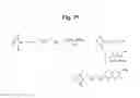 Fig. 31 - MONOMETHYLVALINE COMPOUNDS CAPABLE OF CONJUGATION TO LIGANDS